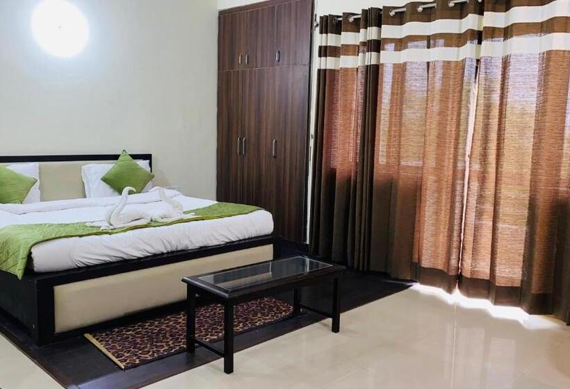 Номер Стандарт, Livbox