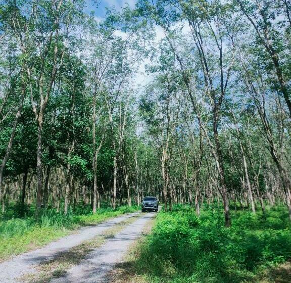 Номер Стандарт Вид на Горы, Doisky Phangnga