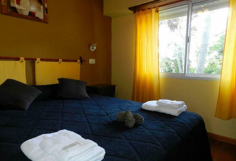 Standardzimmer, Vireo