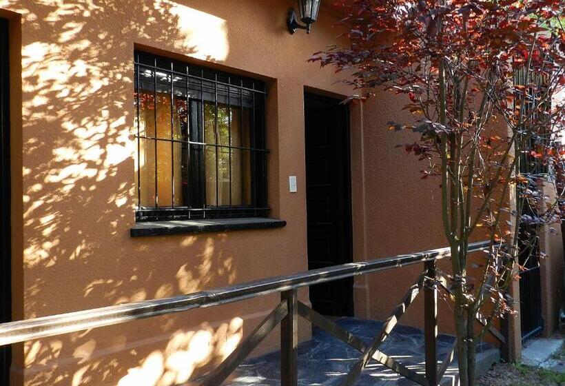 4 Bett Standardzimmer, Vireo