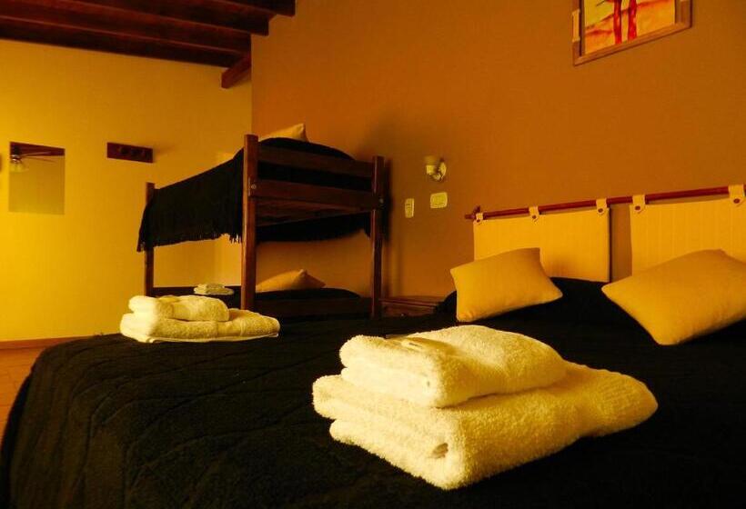 4 Bett Standardzimmer, Vireo