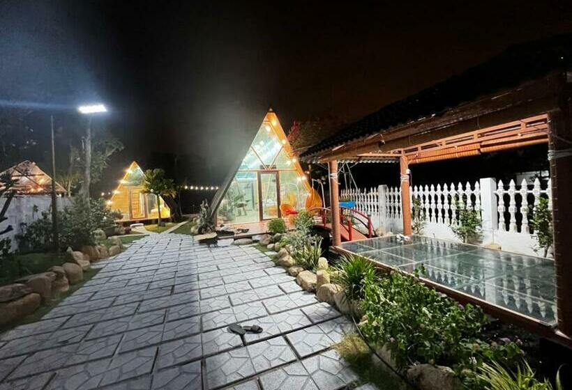 اتاق خانوادگی, Homestay 245