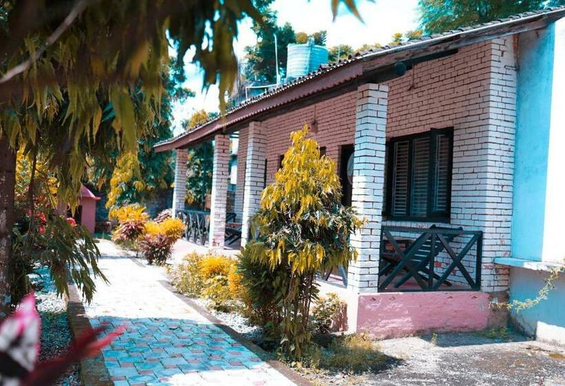 اتاق استاندارد, Safari Wildlife Lodge & Camp