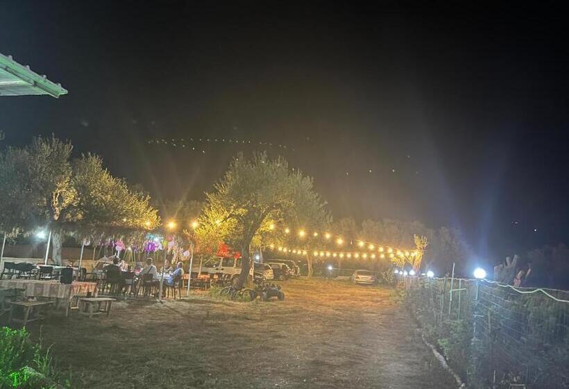 סטודיו סטנדרט עם מרפסת, Villa Noel Borsh