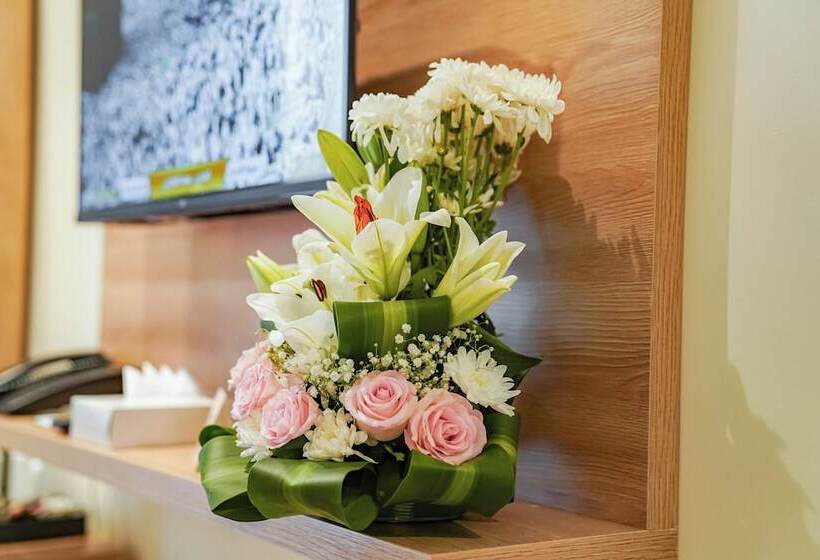 חדר סטנדרט לשלושה, Worth Elite