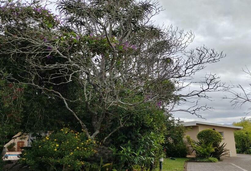 غرفة قياسية سرير كينج, 12 On Churchill