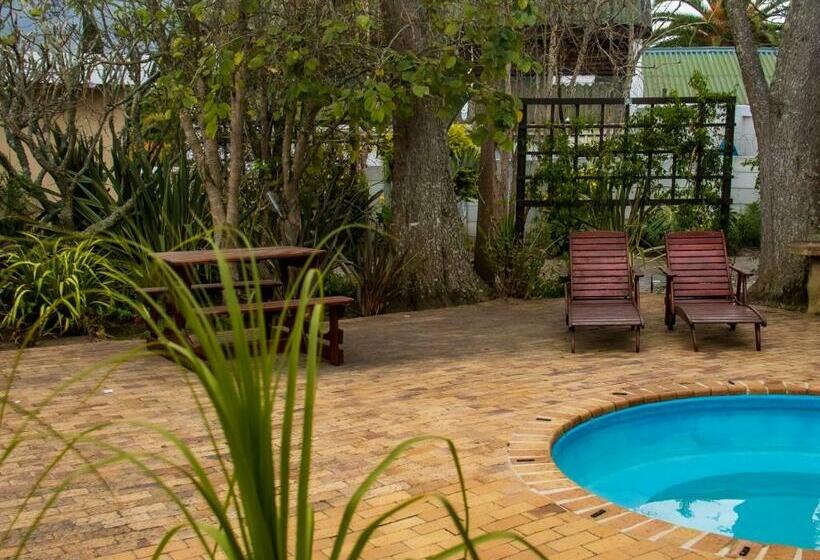 غرفة قياسية سرير كينج, 12 On Churchill