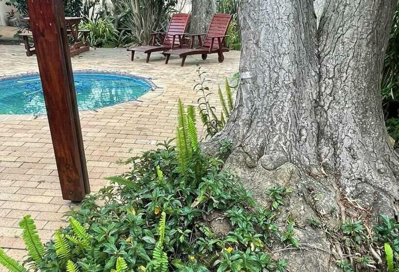 غرفة قياسية سرير كينج, 12 On Churchill