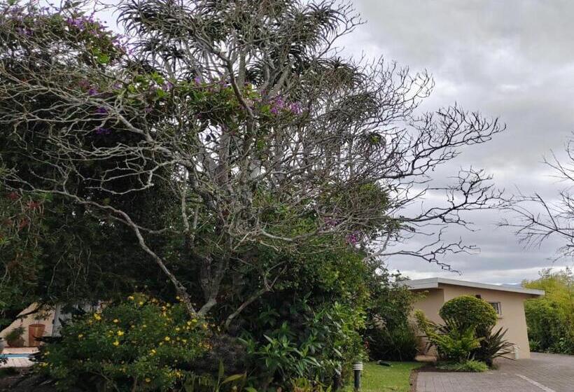 غرفة كومفورت, 12 On Churchill