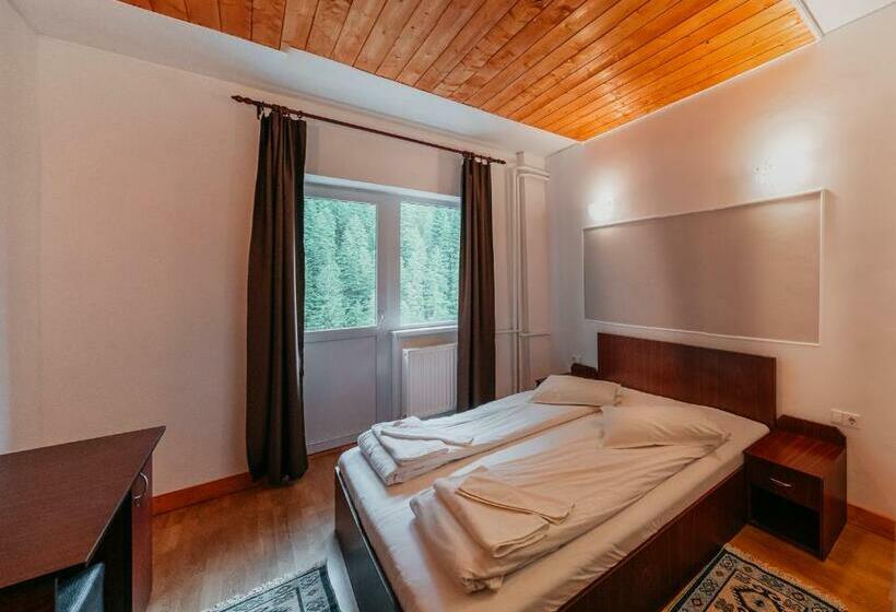 Номер Стандарт Вид на Горы, Bâlea Cascadă