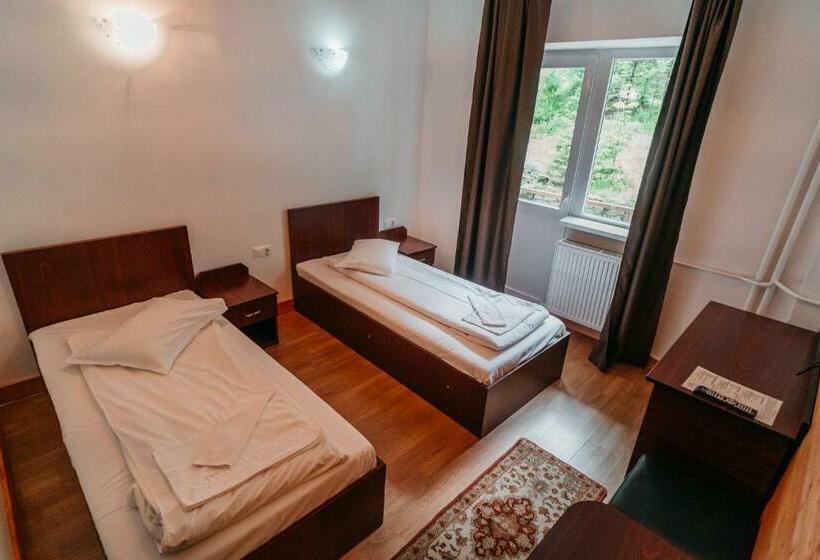 Номер Стандарт Вид на Горы, Bâlea Cascadă