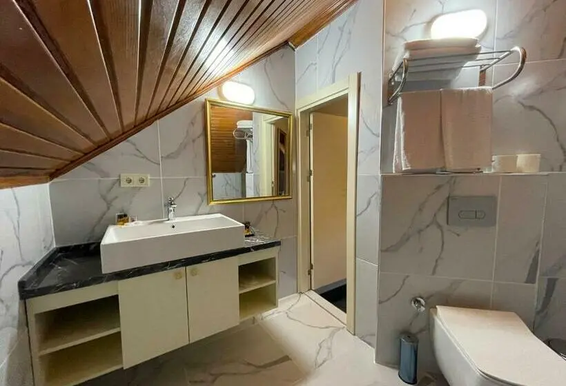 اتاق اکونومی, Sevcan