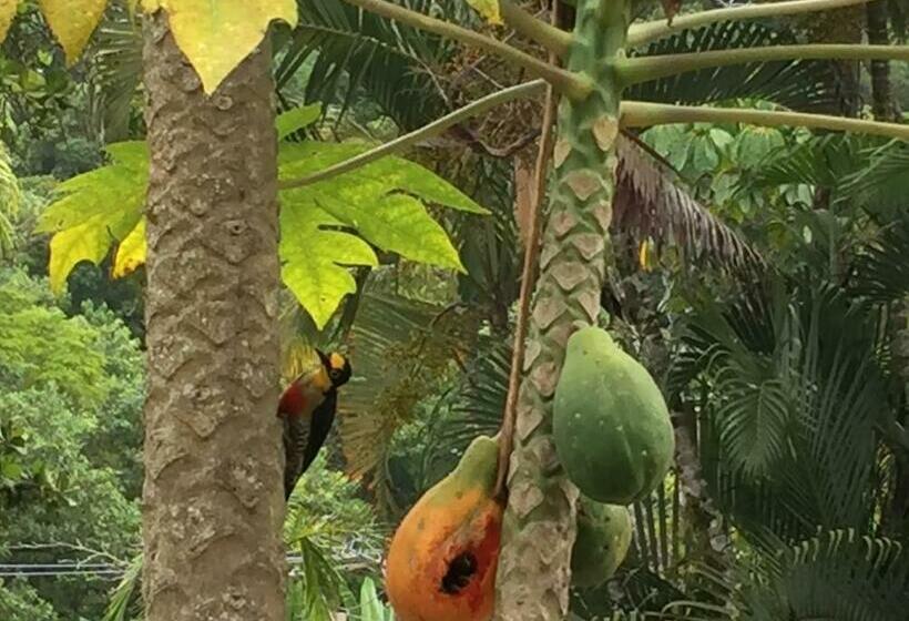 اتاق خانوادگی, Canto Das Toninhas Guest House