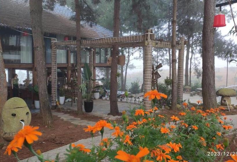 اتاق اکونومی یک تخته, Tân Uyên Paradise