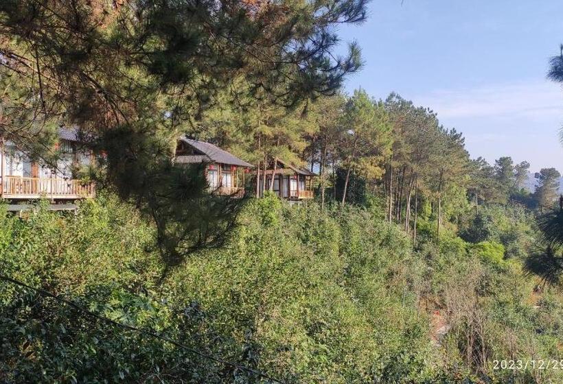 اتاق اکونومی یک تخته, Tân Uyên Paradise