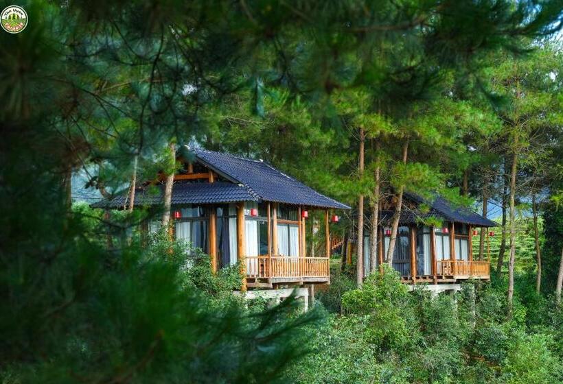 ویلای استاندارد با چشمانداز باغ, Tân Uyên Paradise