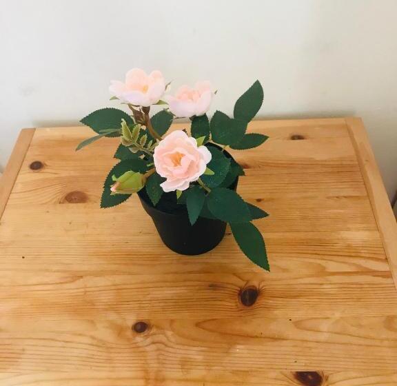 اتاق سوپریور, Alfama Guest House