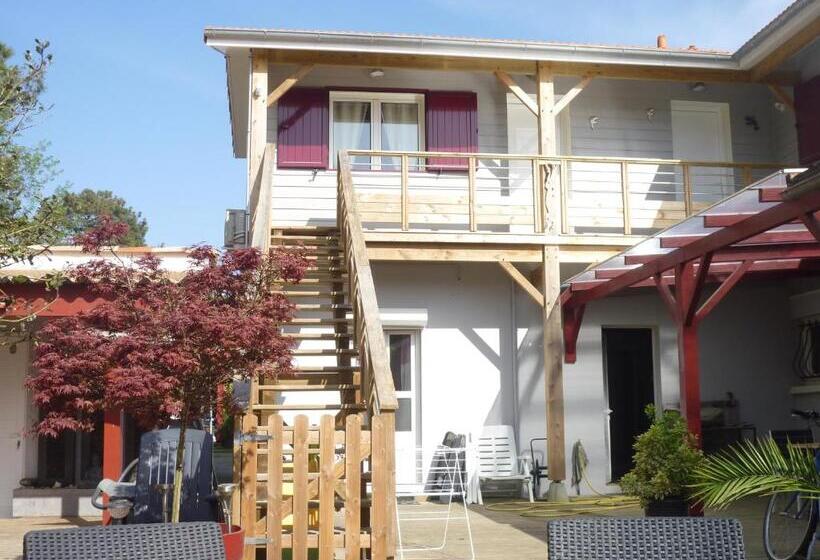 标准间, Chez Augustin