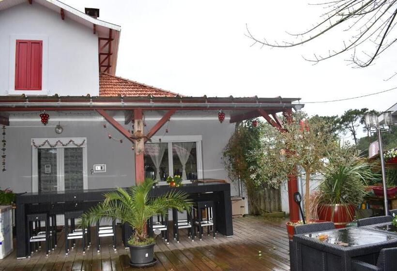 带1个卧室的公寓, Chez Augustin