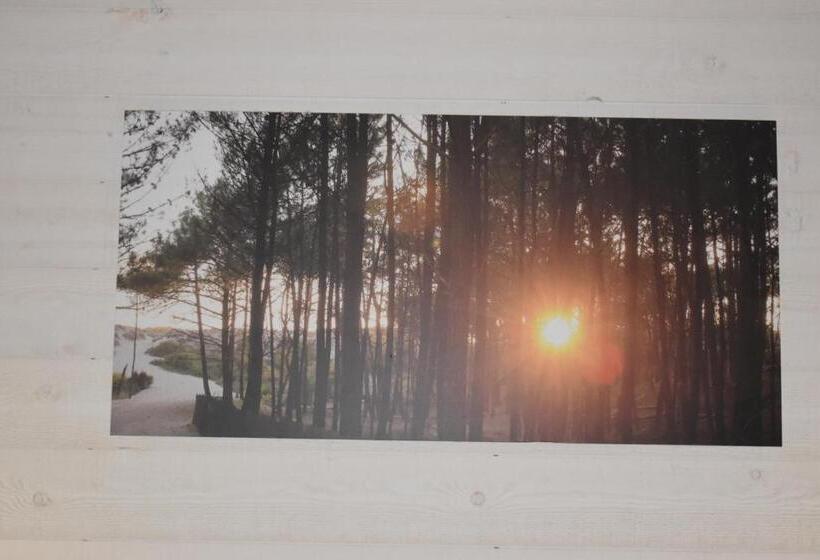 标准间, Chez Augustin