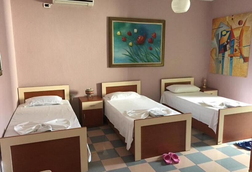 共用房间的床, Hostel Grande House