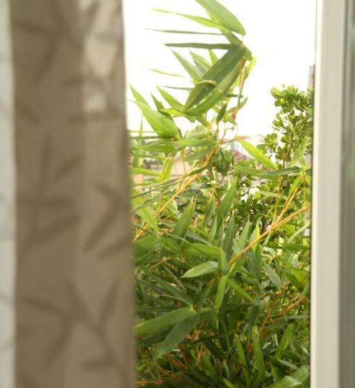 اتاق لوکس, Flora Hotel Hue