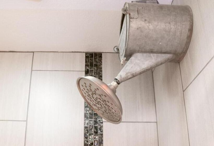 سوییت, The Chadwick