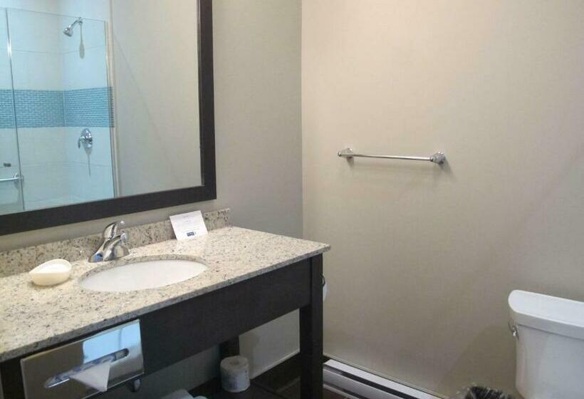 Стандартный Номер Кровать Кинг, Best Western Plus Hotel Montreal