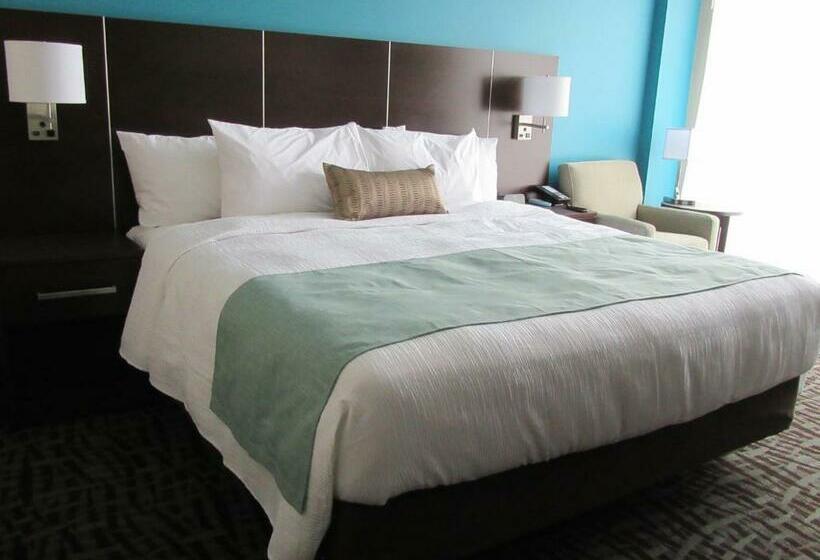 스탠다드 룸 킹사이즈 침대, Best Western Plus Hotel Montreal