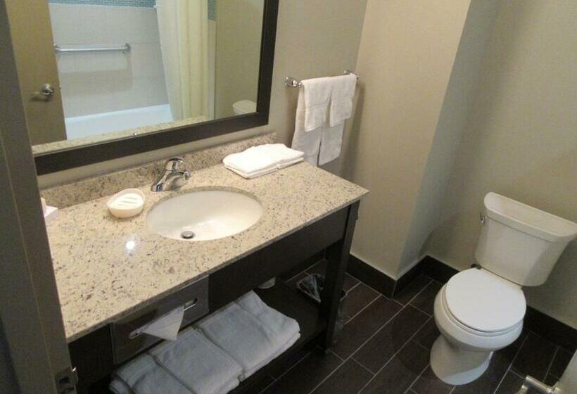 Номер Стандарт, Best Western Plus Hotel Montreal