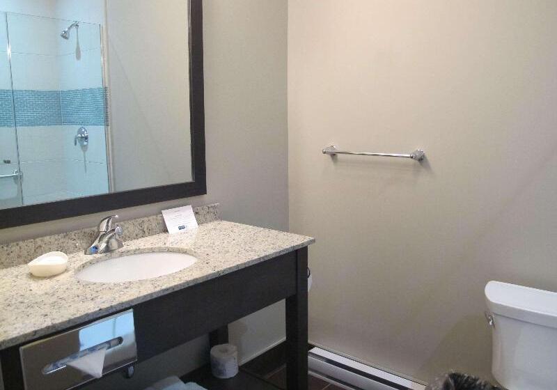 Номер Стандарт, Best Western Plus Hotel Montreal