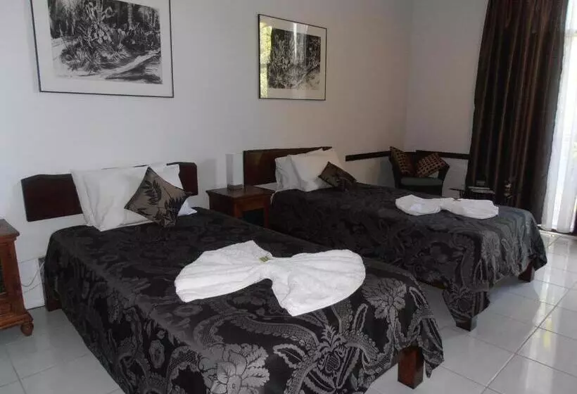 スタンダードルーム, Daintree Wild Bed & Breakfast