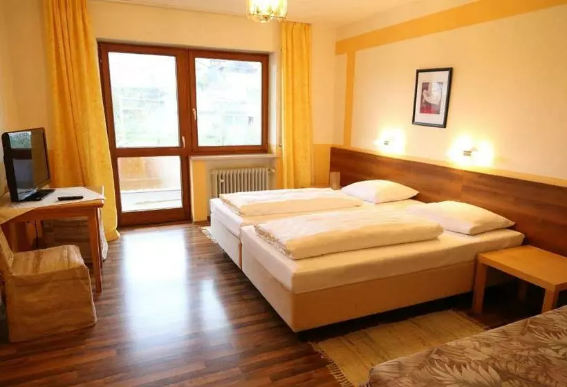 اتاق استاندارد یک نفره, Landgasthof Baumgartner