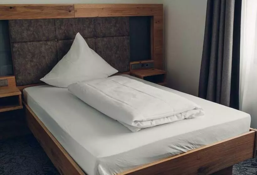 スタンダードシングルルーム, Rührberger Hof Hotel & Restaurant Grenzach Wyhlen Bei Basel