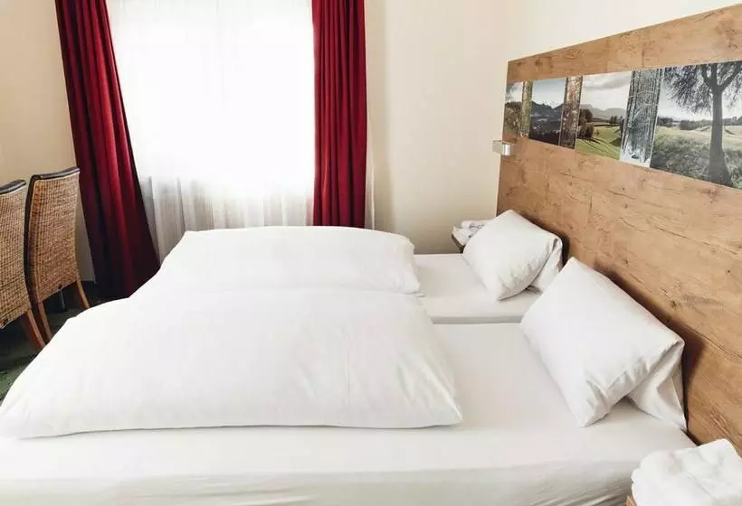 スタンダードルーム, Rührberger Hof Hotel & Restaurant Grenzach Wyhlen Bei Basel