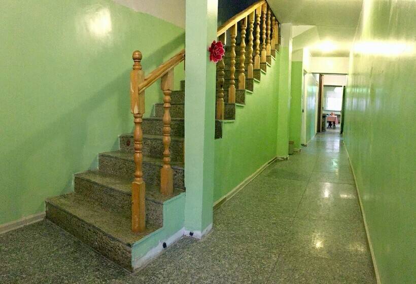 تختخواب در اتاق مشترک, Travel Mongolia Guesthouse