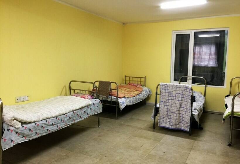 تختخواب در اتاق مشترک, Travel Mongolia Guesthouse