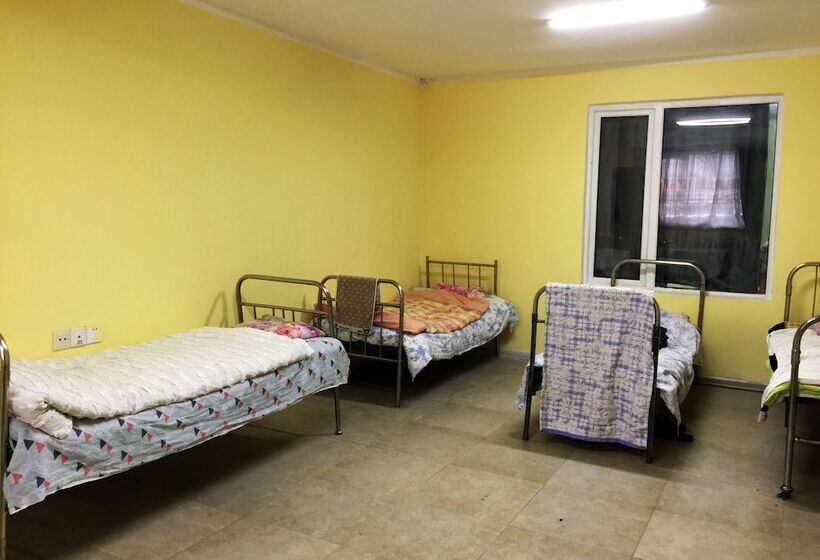 تختخواب در اتاق مشترک, Travel Mongolia Guesthouse