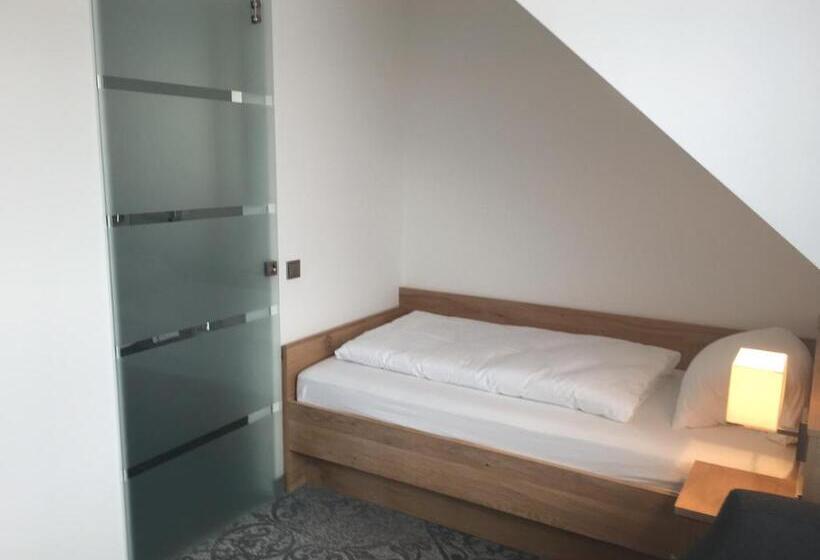 스탠다드 싱글 룸, Rührberger Hof Hotel & Restaurant Grenzach Wyhlen Bei Basel