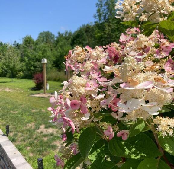 Номер Стандарт, Glenn Meadow Bed And Breakfast