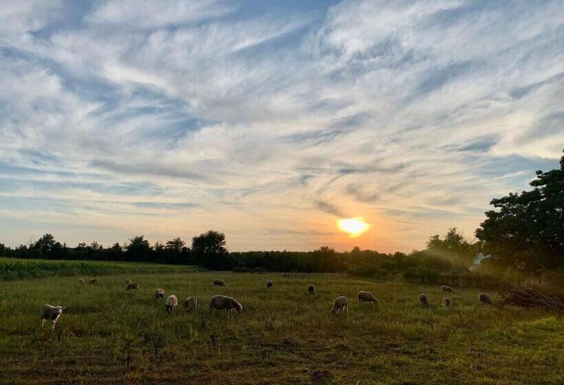 Family Suite, Glenn Meadow Bed And Breakfast