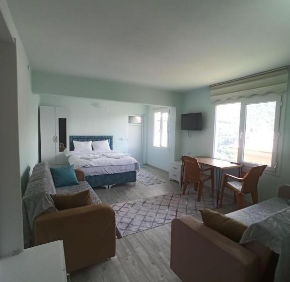 شقة غرفة واحدة, Yeşi̇lalan Otel