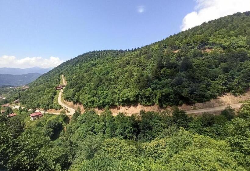 带1个卧室的带阳台的公寓, Yeşi̇lalan Otel