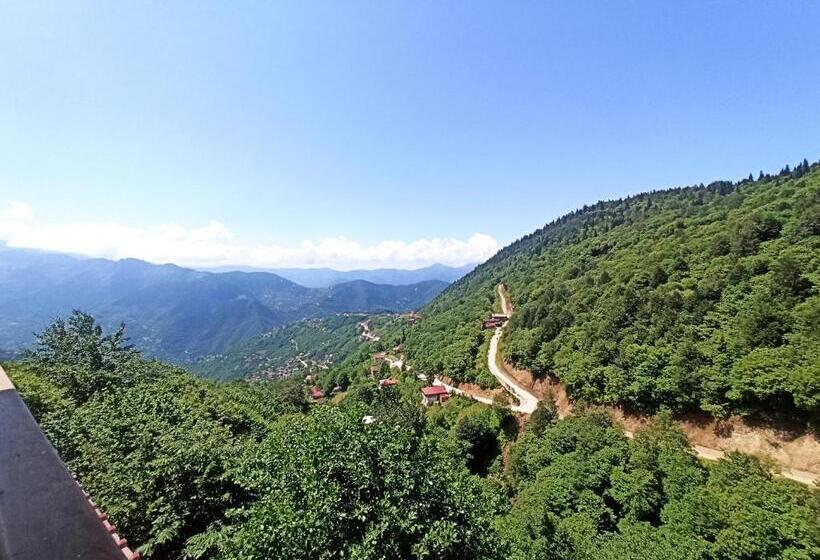 شقة غرفة نوم واحدة مزودة بشُرفة, Yeşi̇lalan Otel