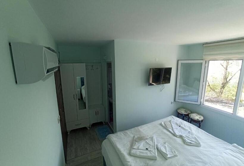 غرفة قياسية, Yeşi̇lalan Otel