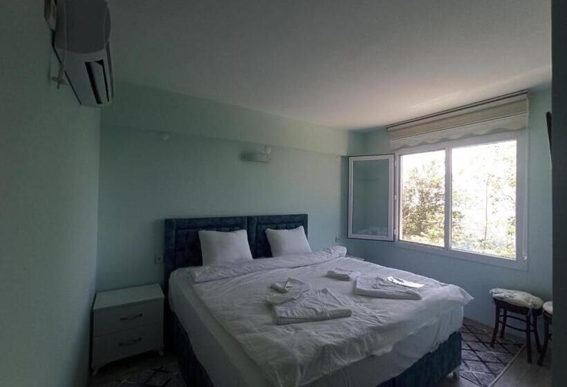 غرفة قياسية, Yeşi̇lalan Otel