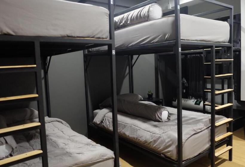 اتاق استاندارد چهارنفره با سرویس بهداشتی مشترک, A Lazy Person Hostel