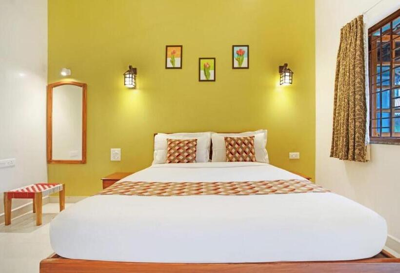 スタンダードルーム, Stay Portu