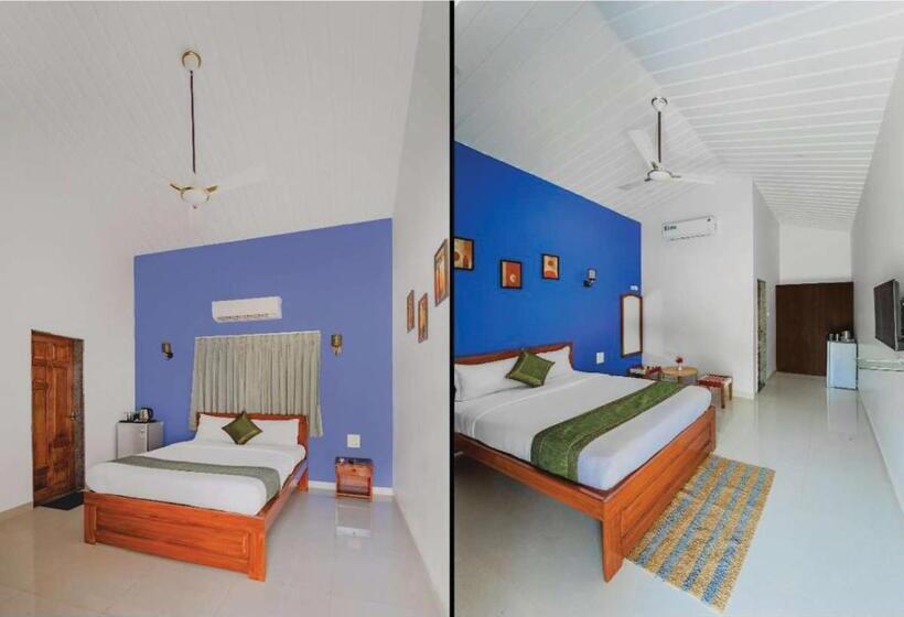 スタンダードルーム, Stay Portu