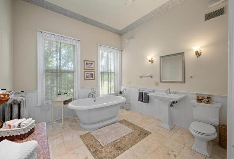 带大床的豪华间, The Vistula Rose B & B